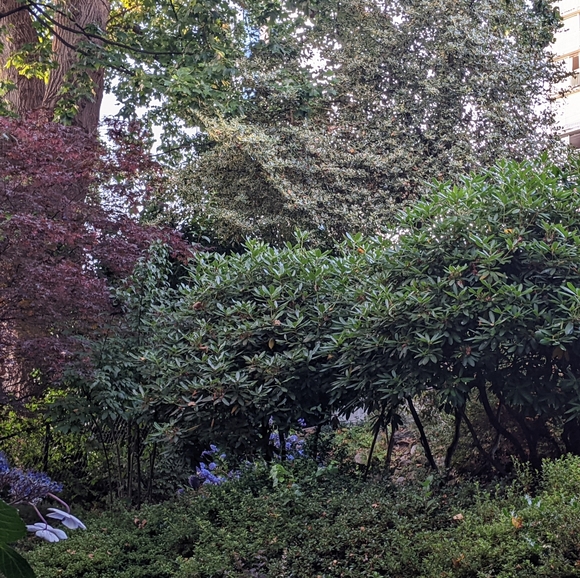 Vintage brown platform heels 8 - Picture 2 of 11